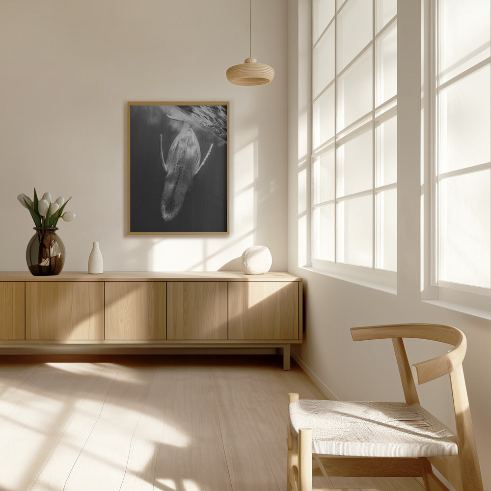 Black & Whale Poster